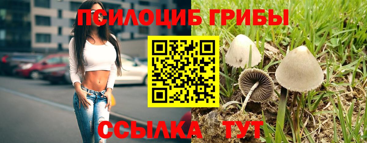 Тобольск  Галлюциногенные грибы Cubensis  купить наркоту  Вход с VPN 