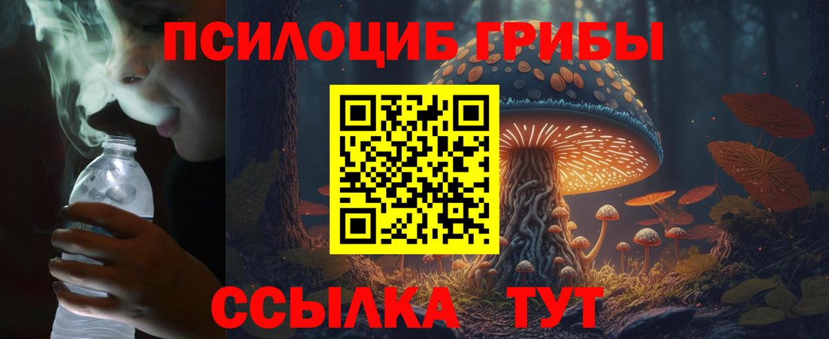 Галлюциногенные грибы мухоморы Тобольск